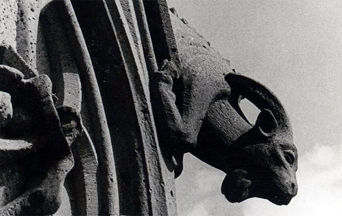 Geissbock am Kölner Dom