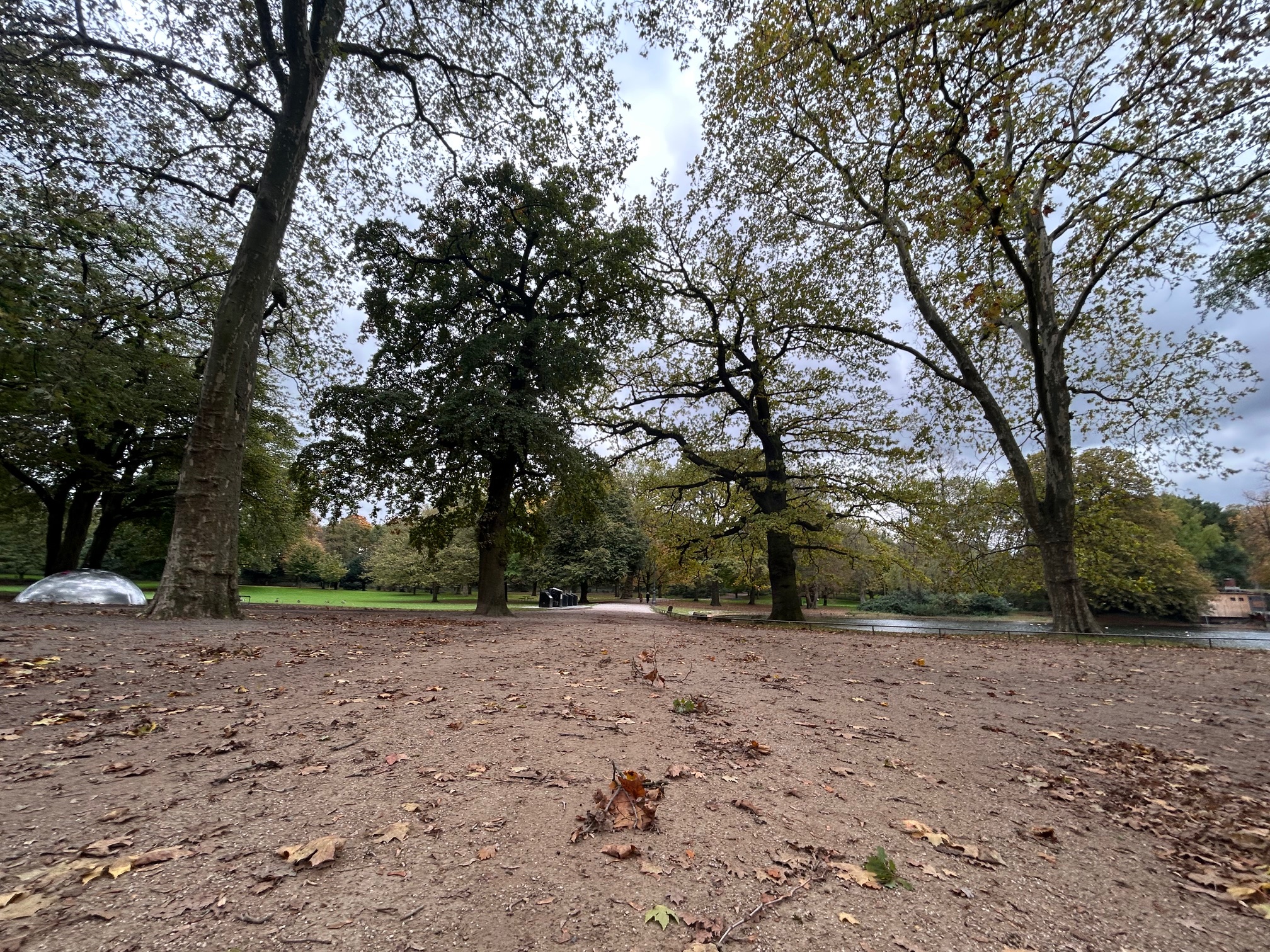 Kölner Park , Weg mit Blättern und Bäumen