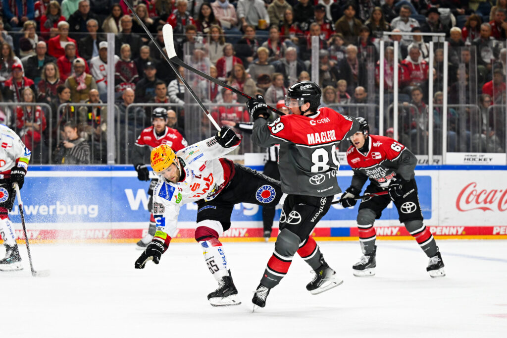 Kölner Haie und Bremerhavener Spieler im Zweikampf