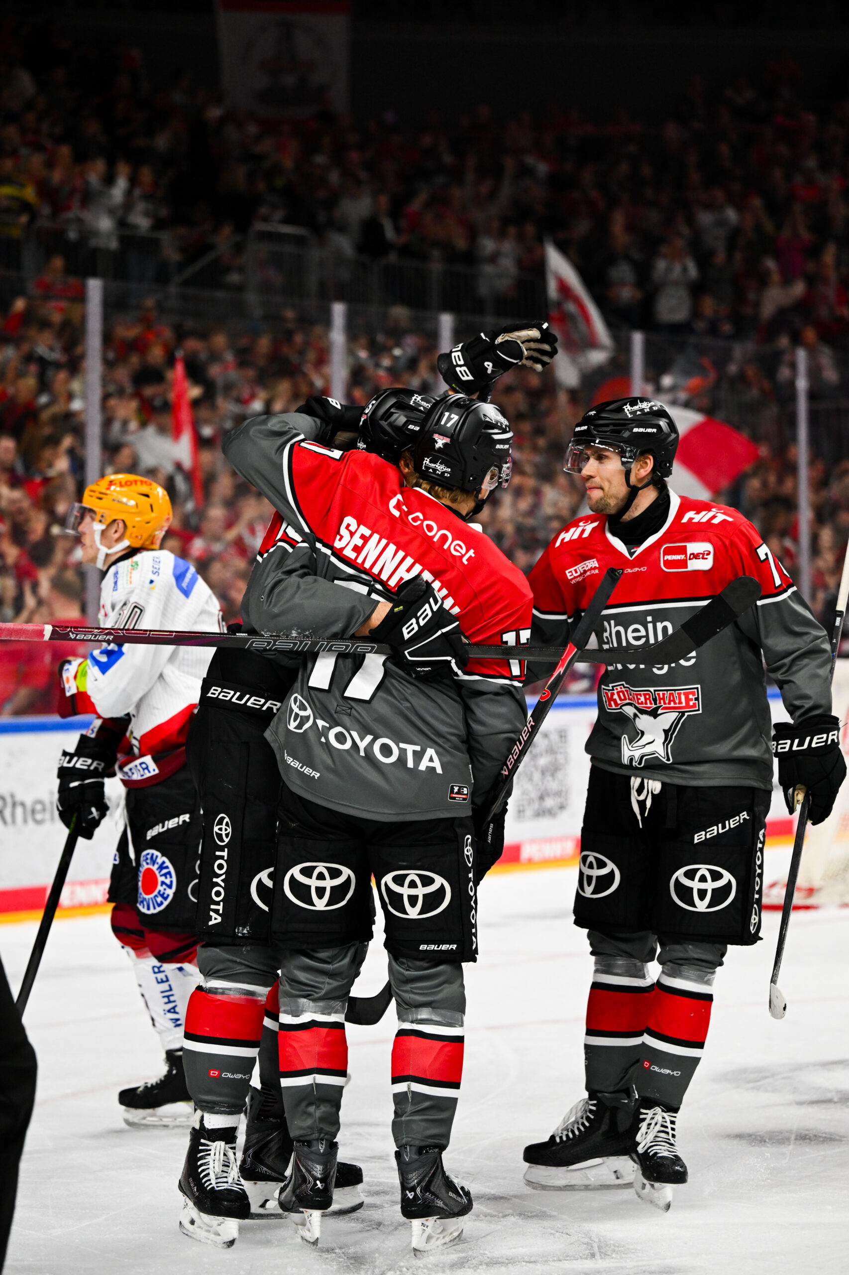 Eishockeyspieler der Kölner Haie jubeln nach einem Tor